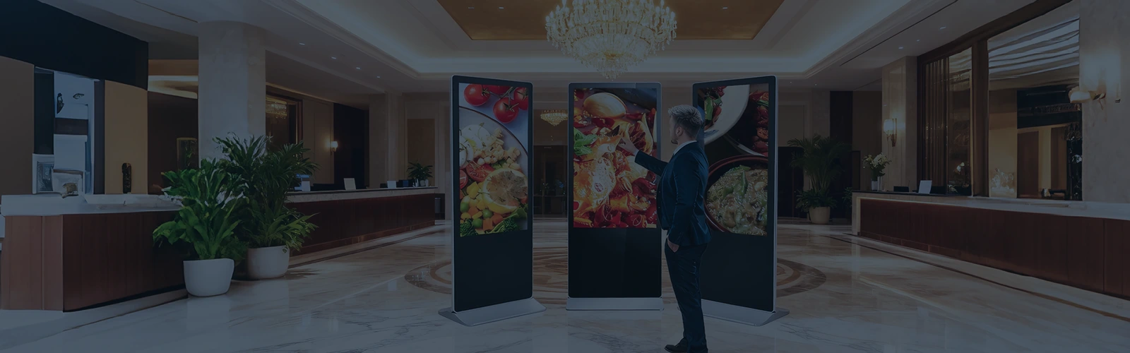 Solutions From QDE